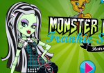 Monster High Frankie Stein