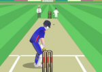 World Cricket Slog Master