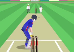 World Cricket Slog Master